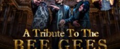 Night Fever - A tribute to The Bee Gees